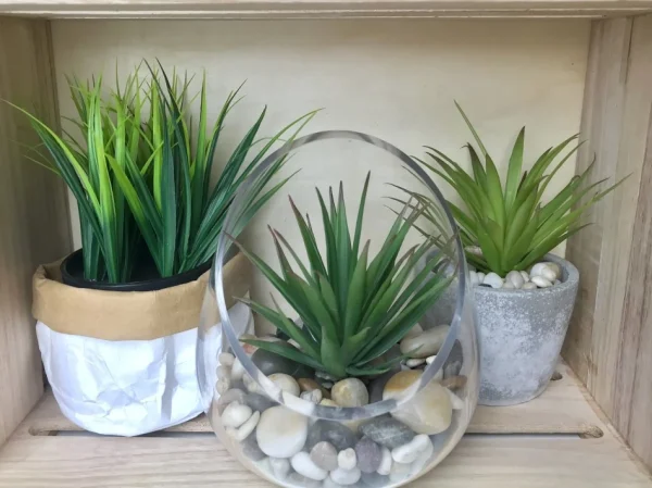 Attitudes Import 2 Green Plant In Pot* Arrangements