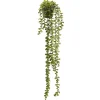 Pine Center Hanging Plant - Jade* Arrangements