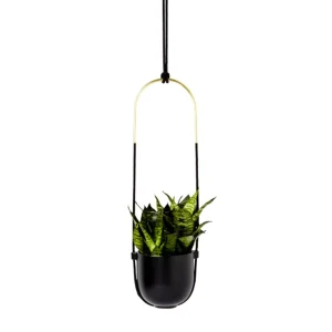 Umbra Hanging Planter - Bolo* Planters