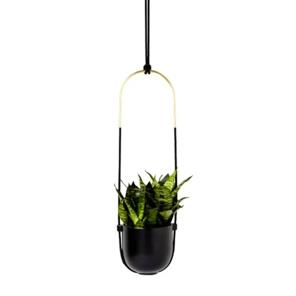 Umbra Hanging Planter - Bolo* Planters