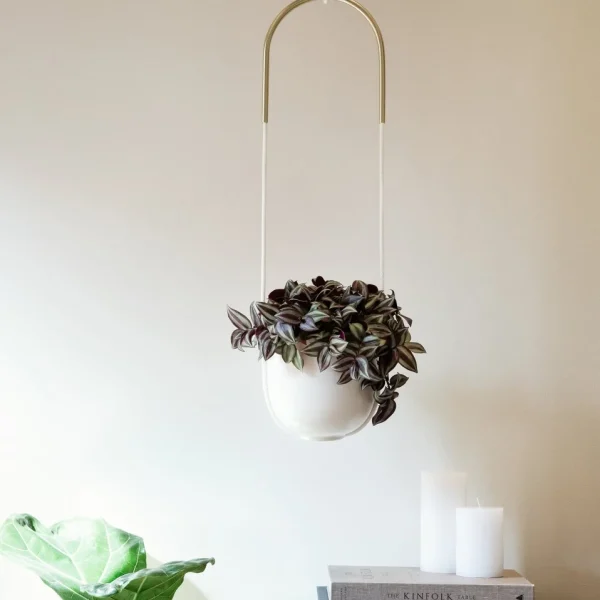 Umbra Hanging Planter - Bolo* Planters