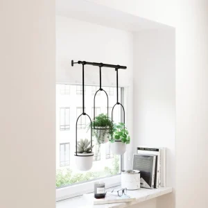 Umbra Hanging Planter - Triflora* Planters