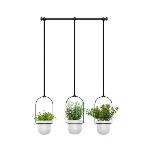 Umbra Hanging Planter - Triflora* Planters