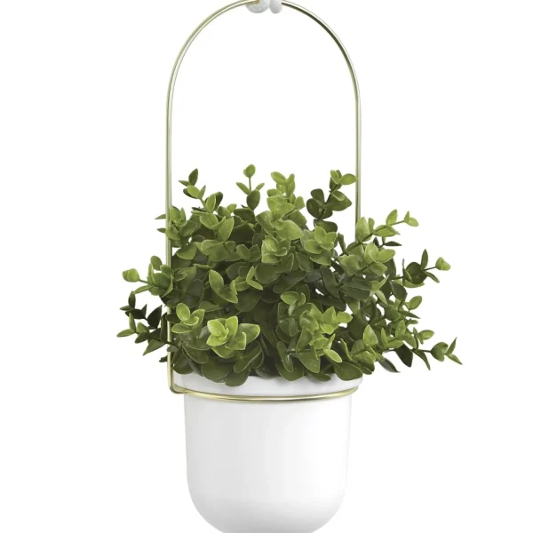 Umbra Hanging Planter - Triflora* Planters