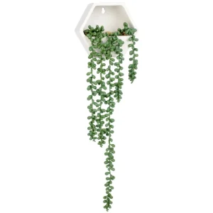 Attitudes Import 2 Hexagonal Wall Vase - Senecio Rowley* Arrangements