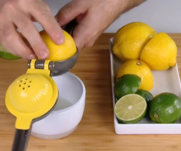 Ricardo 2 In 1 Juicer* Preparation & Cooking