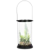 Attitudes Import Lantern Terrarium* Decorative Objects