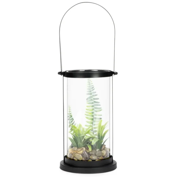 Attitudes Import Lantern Terrarium* Decorative Objects