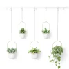 Umbra Large Hanging Planter - Triflora* Planters