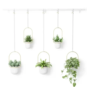 Umbra Large Hanging Planter - Triflora* Planters