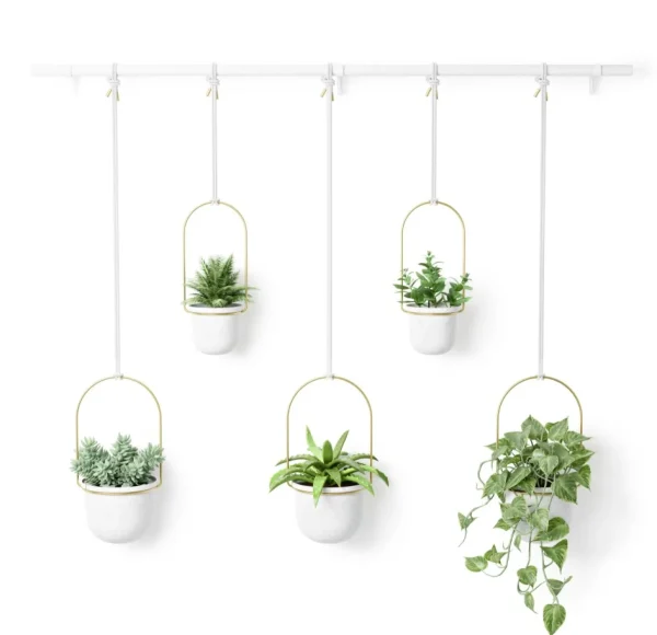 Umbra Large Hanging Planter - Triflora* Planters