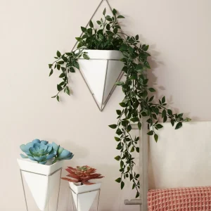 Umbra Large White Wall Planter - Trigg* Planters