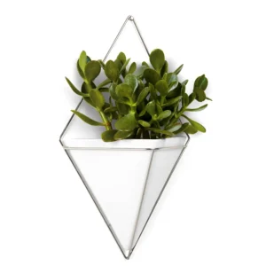 Umbra Large White Wall Planter - Trigg* Planters
