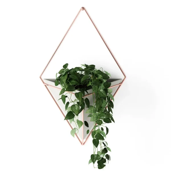 Umbra Large White Wall Planter - Trigg* Wall Planters