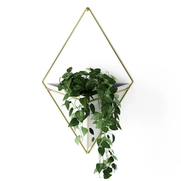 Umbra Large White Wall Planter - Trigg* Wall Planters