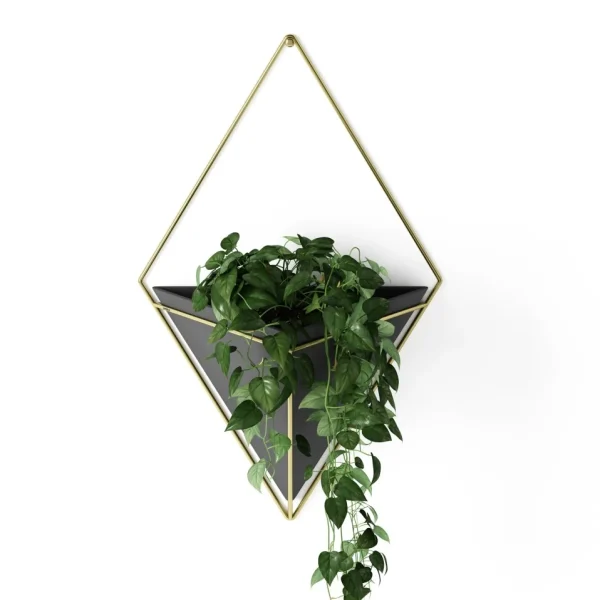 Umbra Large White Wall Planter - Trigg* Wall Planters