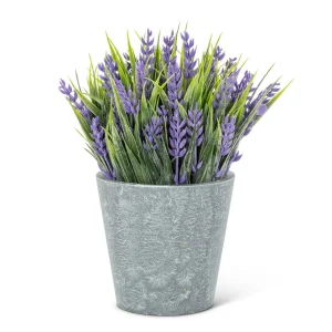 Abbott Lavender Cement Pot* Arrangements