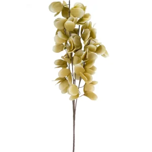 Attitudes Import 2 Leaf Branch - Yellow* Dried Stems & Flowers