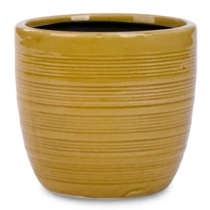 Attitudes Import 2 Lined Pot* Vases & Pots