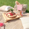 Danesco Mini Folding Picnic Table* Serving Accessories