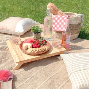 Danesco Mini Folding Picnic Table* Serving Accessories
