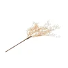 Nostalgia Import Muehlenbeckia Branch* Dried Stems & Flowers