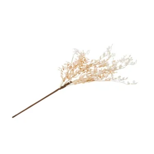 Nostalgia Import Muehlenbeckia Branch* Dried Stems & Flowers