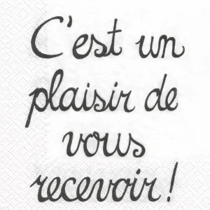 Attitudes Import 2 Napkins - C'Est Un Plaisir* Tablecloths, Placemats & Napkins