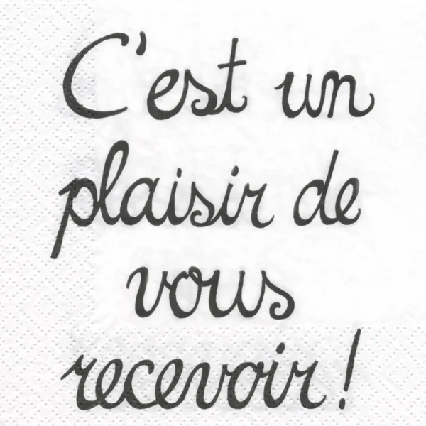Attitudes Import 2 Napkins - C'Est Un Plaisir* Tablecloths, Placemats & Napkins