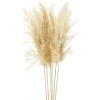 Gift Craft Natural Pampas Branches - 38"* Dried Stems & Flowers