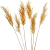 Gift Craft Natural Pampas Steams - 28"* Dried Stems & Flowers