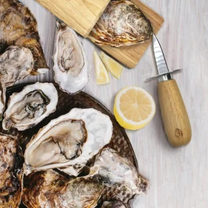 Danesco Oyster Tool Kit* Preparation & Cooking