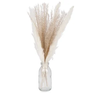 Attitudes Import Pampas Grass In A Vase* Arrangements