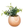 Attitudes Import Plant In A Pot - Wood Effect* Arrangements