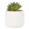 Attitudes Import Plant In White Textured Pot* Arrangements