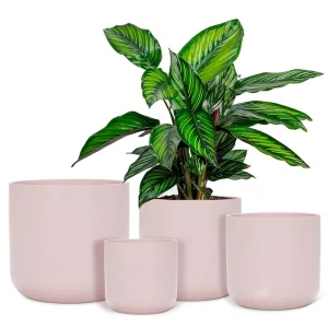 Abbott Planter - Pink Pastel* Vases & Pots