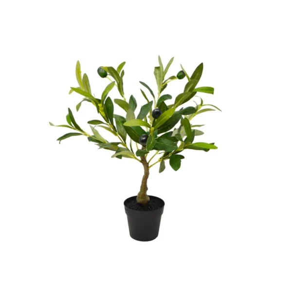 Nostalgia Import Potted Olive Tree - Black* Arrangements