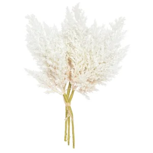 Nostalgia Import Reed Stems - White* Dried Stems & Flowers