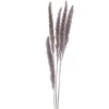 Attitudes Import 2 Set Of 6 Feather Stems - Taupe* Dried Stems & Flowers