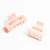 Caracol Set Of 2 Resin Hair Clips - Nude* Hair Accessories