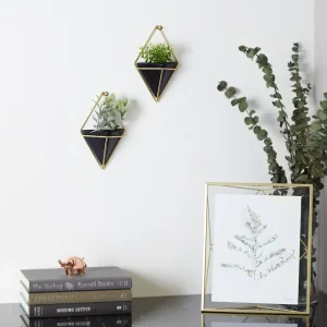 Umbra Set Of 2 Wall Mounted Planters - Trigg Black* Wall Planters