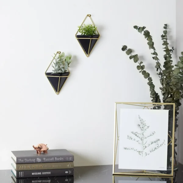 Umbra Set Of 2 Wall Mounted Planters - Trigg Black* Wall Planters