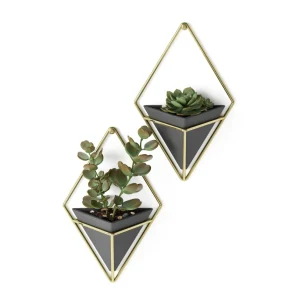 Umbra Set Of 2 Wall Mounted Planters - Trigg Black* Wall Planters