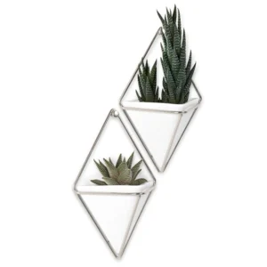 Umbra Set Of 2 Wall Mounted Planters - Trigg* Planters