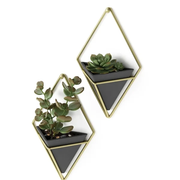 Umbra Set Of 2 Wall Mounted Planters - Trigg Black* Wall Planters