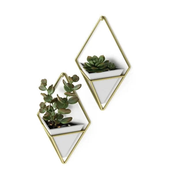 Umbra Set Of 2 Wall Mounted Planters - Trigg* Planters