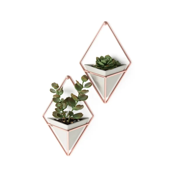 Umbra Set Of 2 Wall Mounted Planters - Trigg* Planters