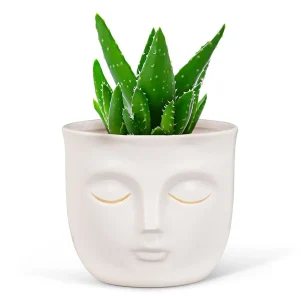 Abbott Sleeping Face Planter - White* Vases & Pots