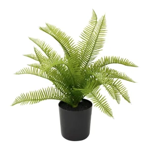 Nostalgia Import Small Fern In A Pot - Black* Arrangements