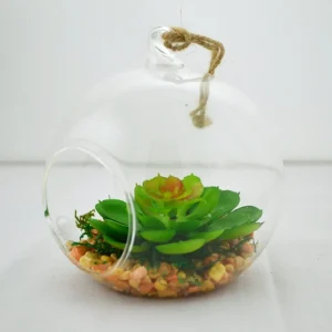 Nostalgia Import Small Terrarium Ball Echeveria* Arrangements